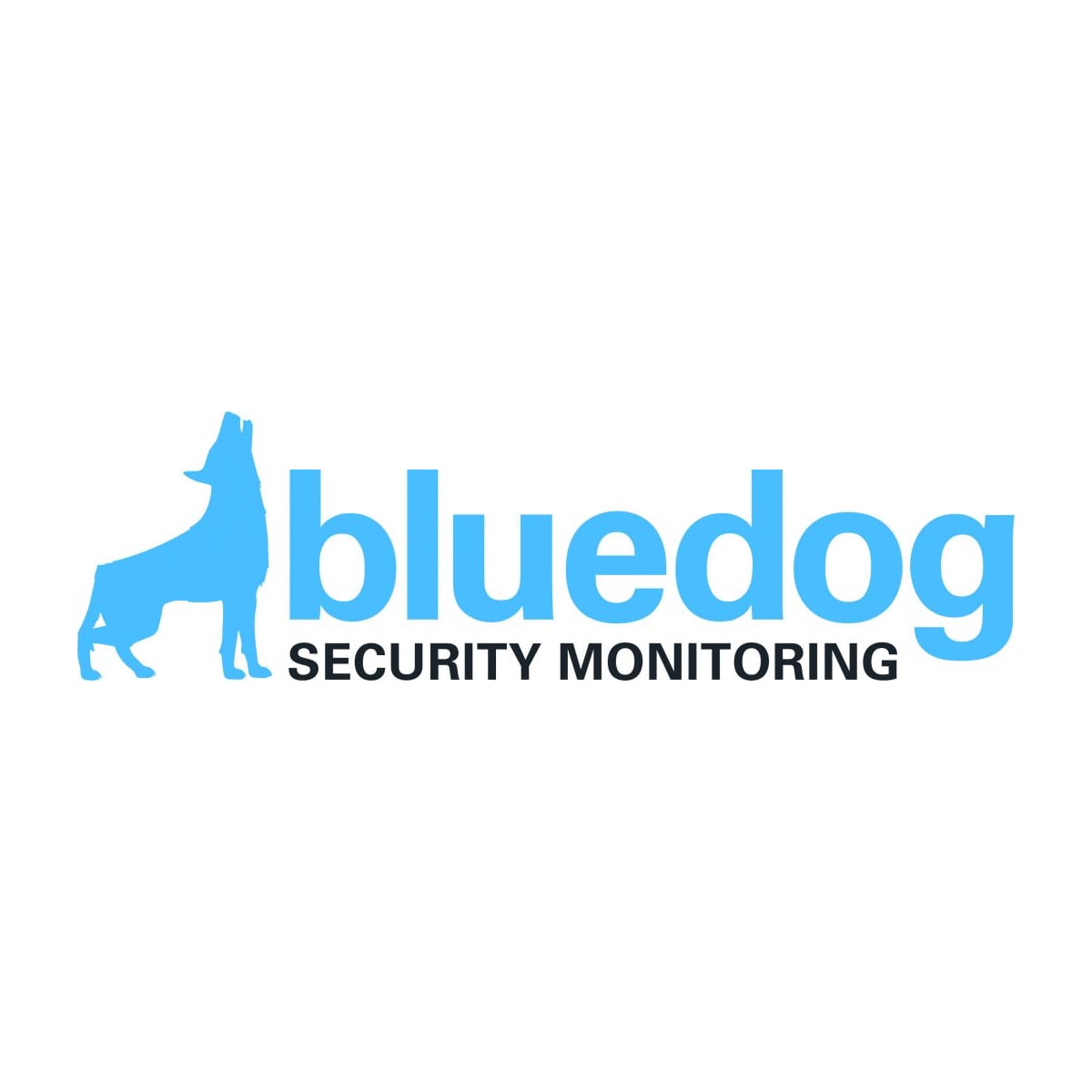 Bluedog Security Monitoring – Gadget Access